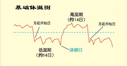 3,宫颈粘液法:接近排卵期的时候,宫颈分泌物变得清稀,量多,典型者可象