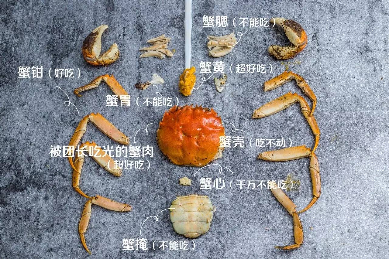 螃蟹的身体构造图图片