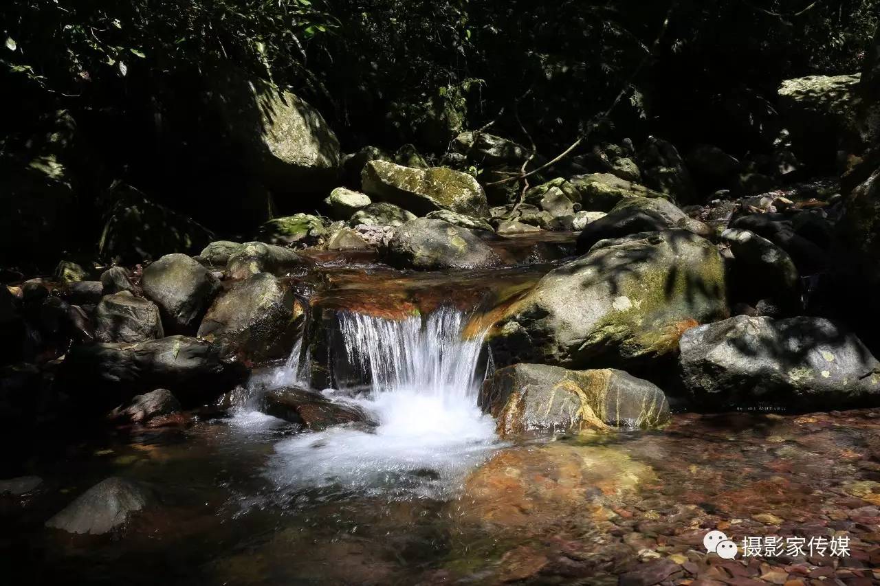 韦志媛,摄韦志媛,摄余彦芳,摄志军,摄志军,摄志军,摄温馨提示:平台刊