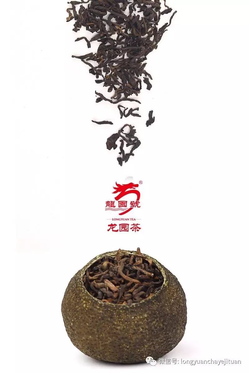 普洱茶文化小青柑普洱茶中的新宠