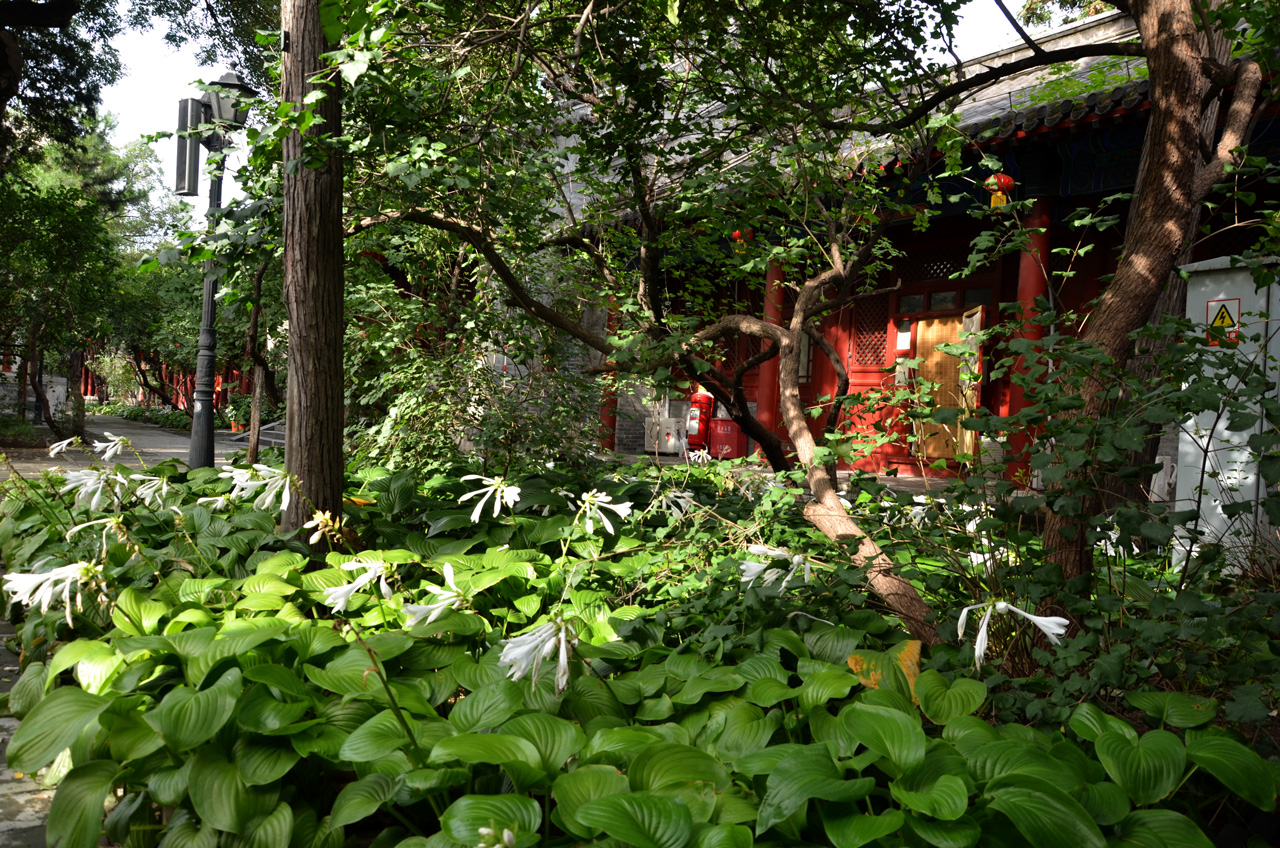 圖集:京城名剎北京法源寺,中國佛學院坐落寺內,始於唐貞觀年代