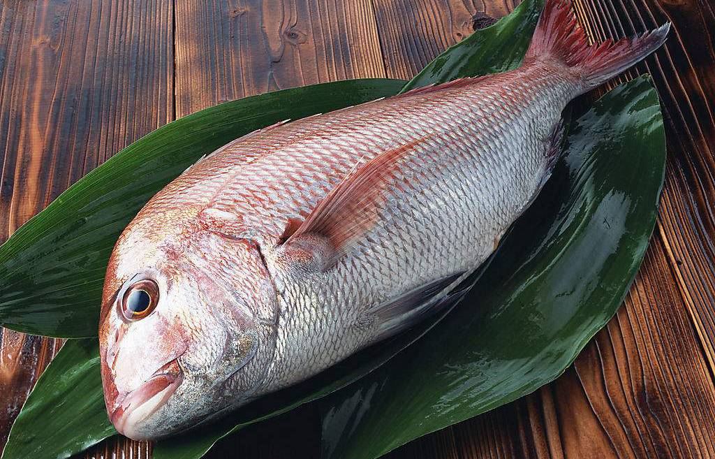 黃魚,甲魚,泥鰍,帶魚,章魚,魷魚,海參,牡蠣以及海帶,海蒿子等,富含