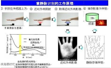 指静脉识别技术基本知识手册2p:指静脉掌静脉识别工作原理有何区别?