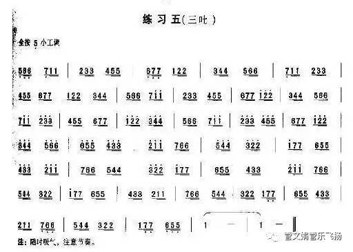 【笛子教學】笛子十講系列練習五:《三吐練習》戴亞示範(附曲譜)