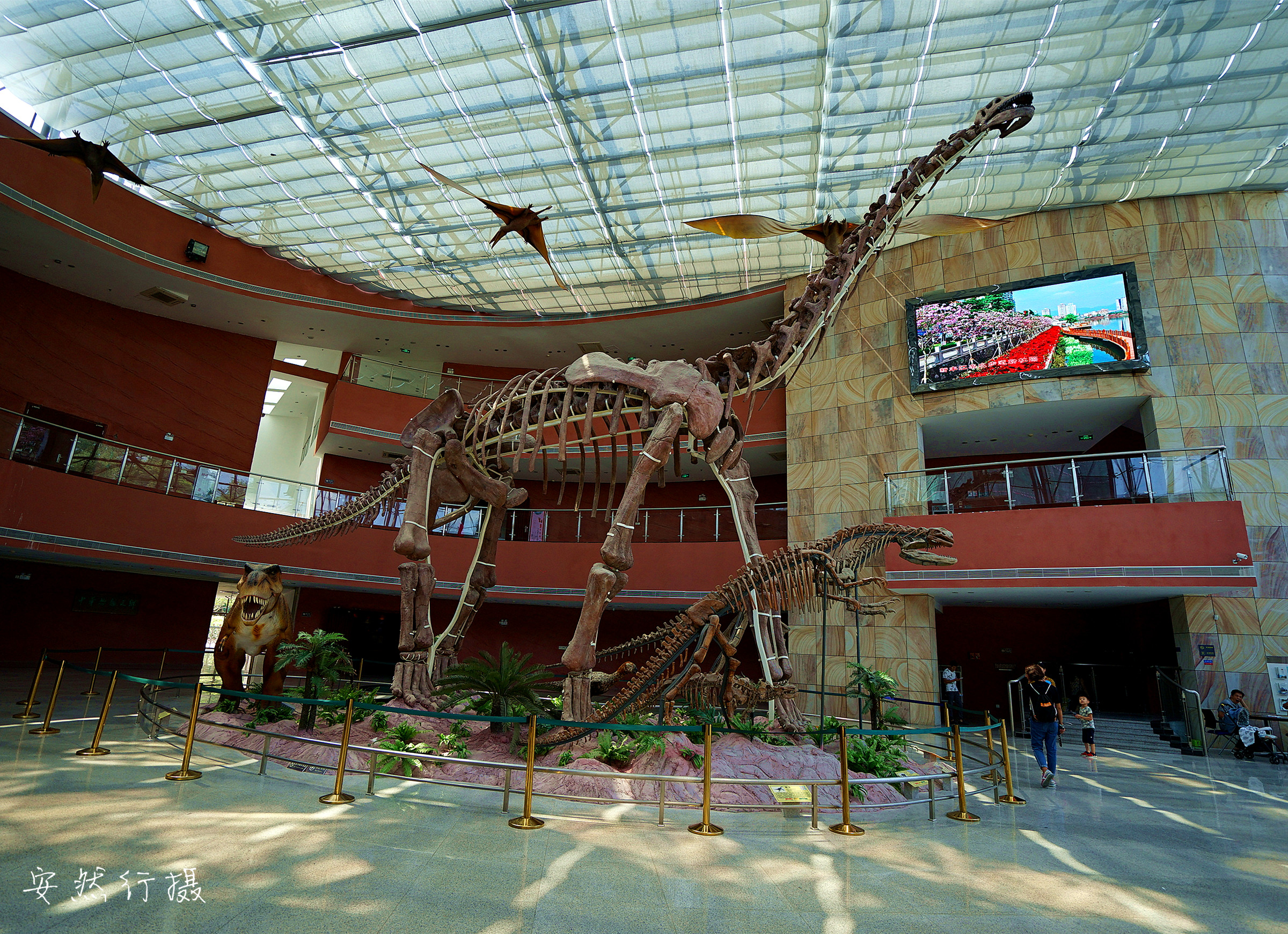 中国古动物馆恐龙蛋馆又名河源恐龙博物馆,位于河源市区滨江大道旁