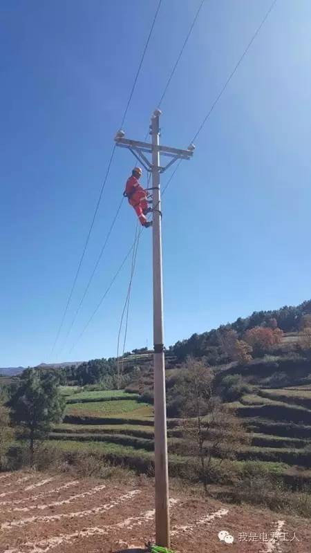 慢慢的,每天都經過訓練後,不在害怕爬電杆了,又是反而覺得爬電杆是一