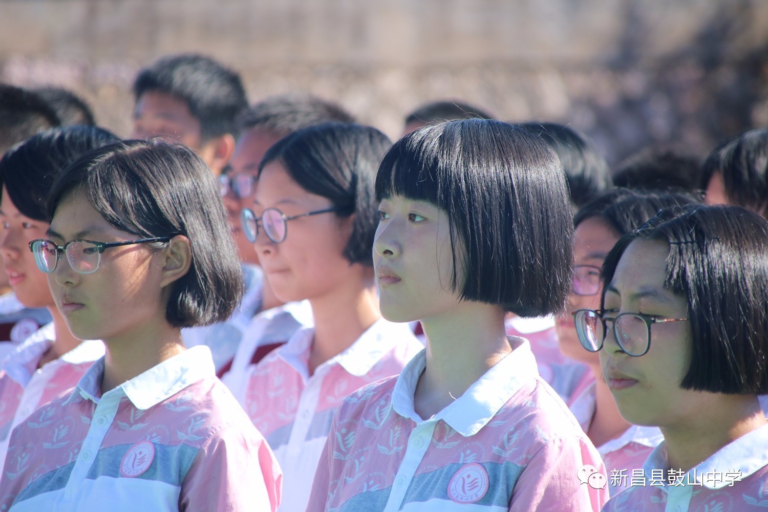 新昌鼓山中学高考成绩图片