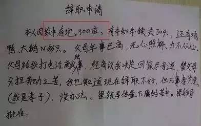 史上最霸氣辭職信:我兩年就能賺180萬!真相曝光,眼淚掉下來!