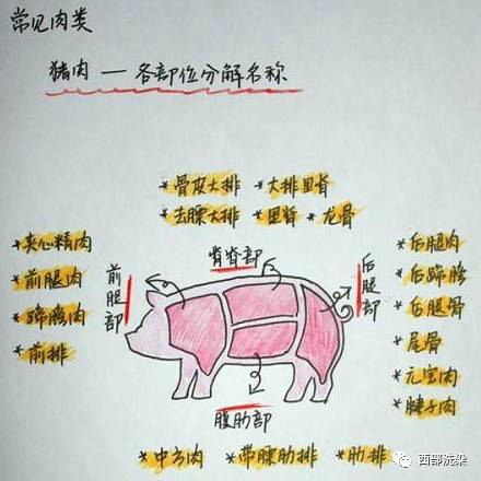 前夹肉图片部位图片