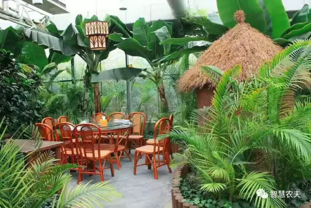 太原生态园餐厅图片