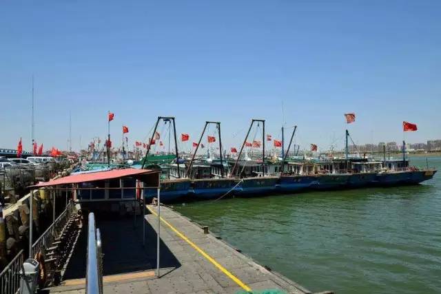 77天津中心渔港中心渔港坐落在汉沽,天津中心渔港并不是纯渔港,港口