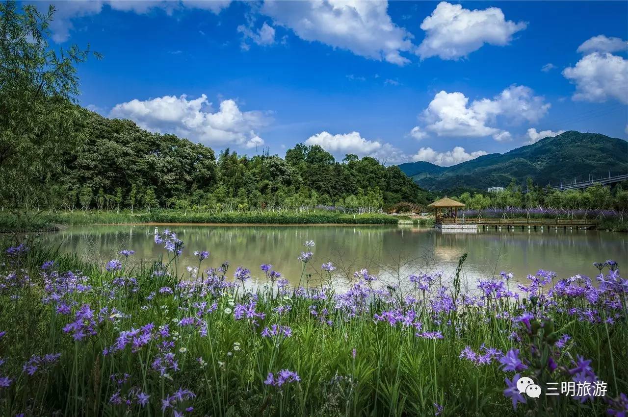 速围观昨天三明这场轰动全城的表白朋友圈都在转