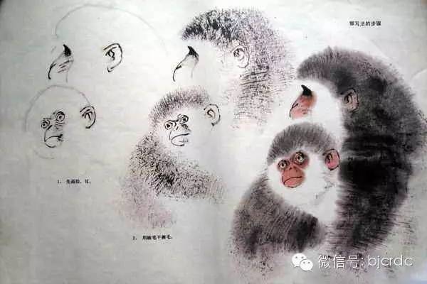 水墨画猴子的画法图片