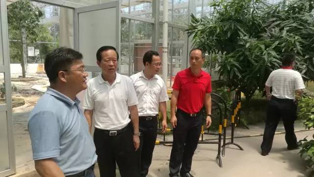 珠海市副市长刘嘉文率市,区,生态园一行领导查看十里莲江受灾情况及灾