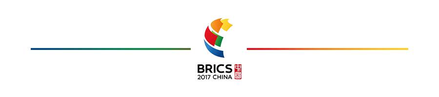 金砖国家bricks图片