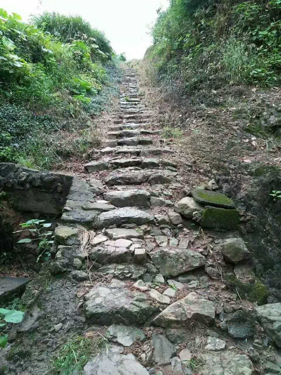 长度:4000米起讫(途经)地点 永康金坑村—义乌蒋坑村第一次投票结果