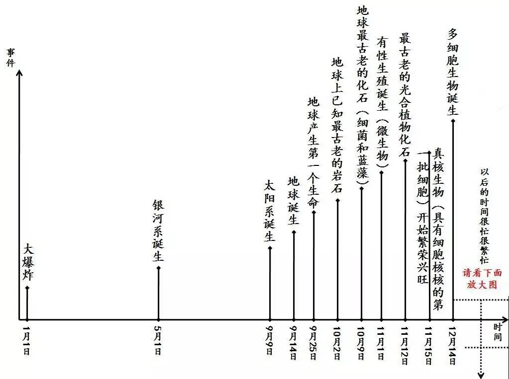 如果138亿年的宇宙历史压缩到一年,人类出现在哪个月?