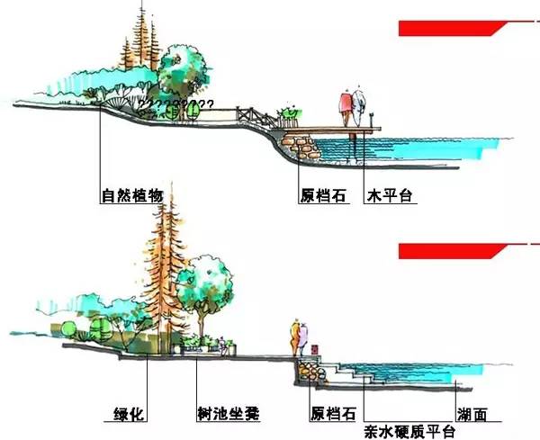 生态鉴赏保护水体的设计驳岸设计