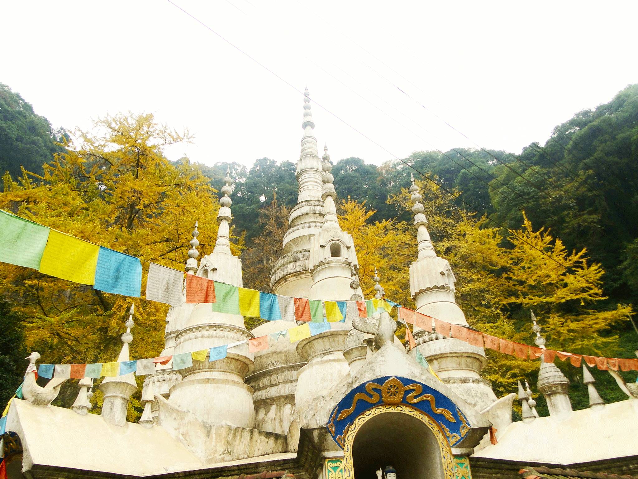 白岩寺位于白岩寺位于成都市大邑县金星乡,全程柏油路水泥路,路况良好