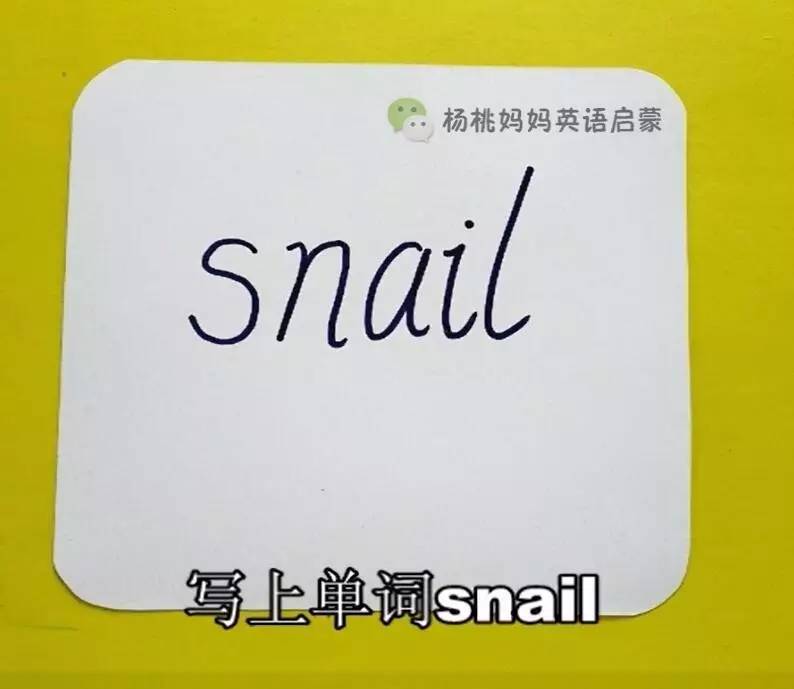 英语萌萌画蜗牛snail