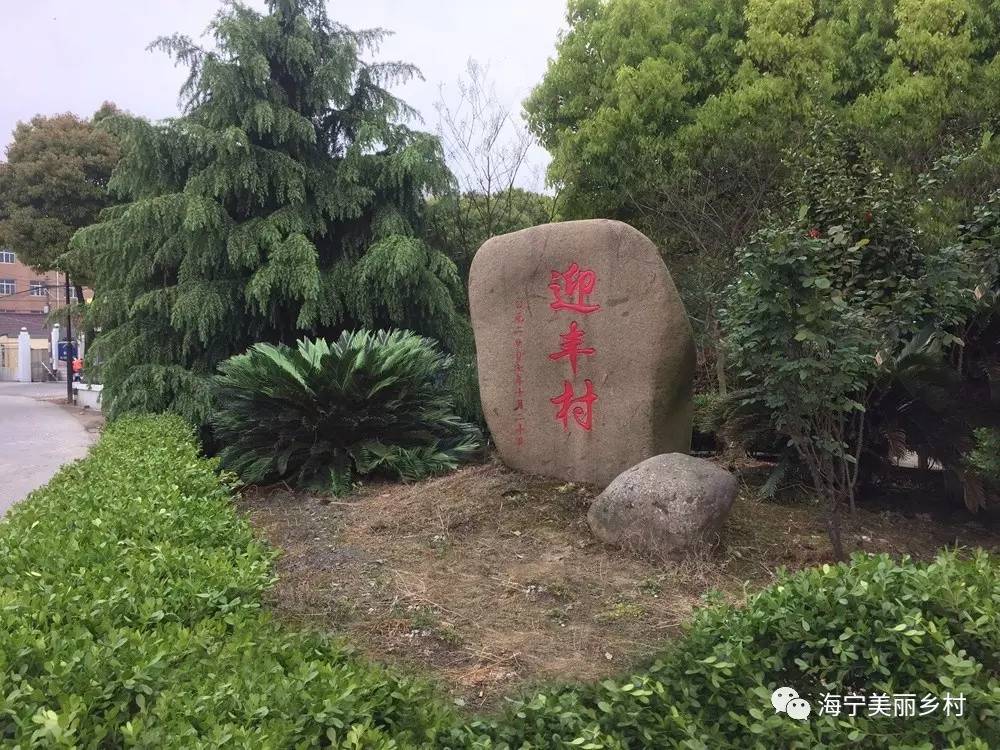 海昌街道专场评选十佳美丽乡村一起来细数海昌街道的那些亮点