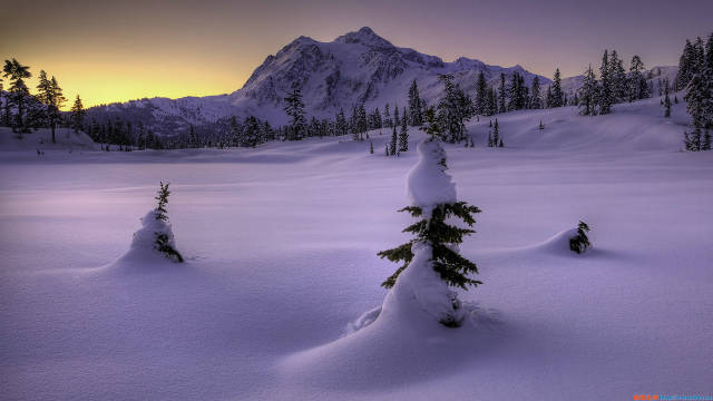 世界上最美的雪景在俄羅斯沒有之一