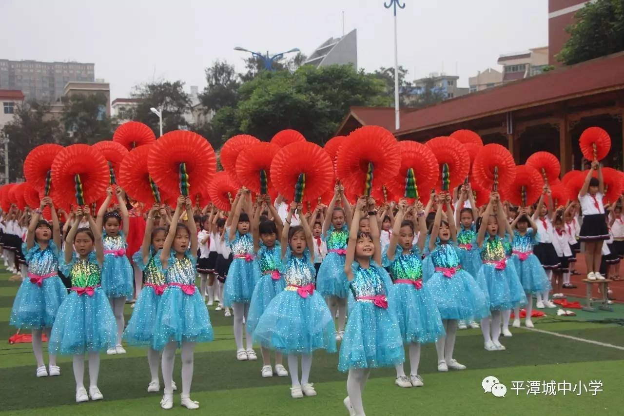 平潭城中小学校花图片