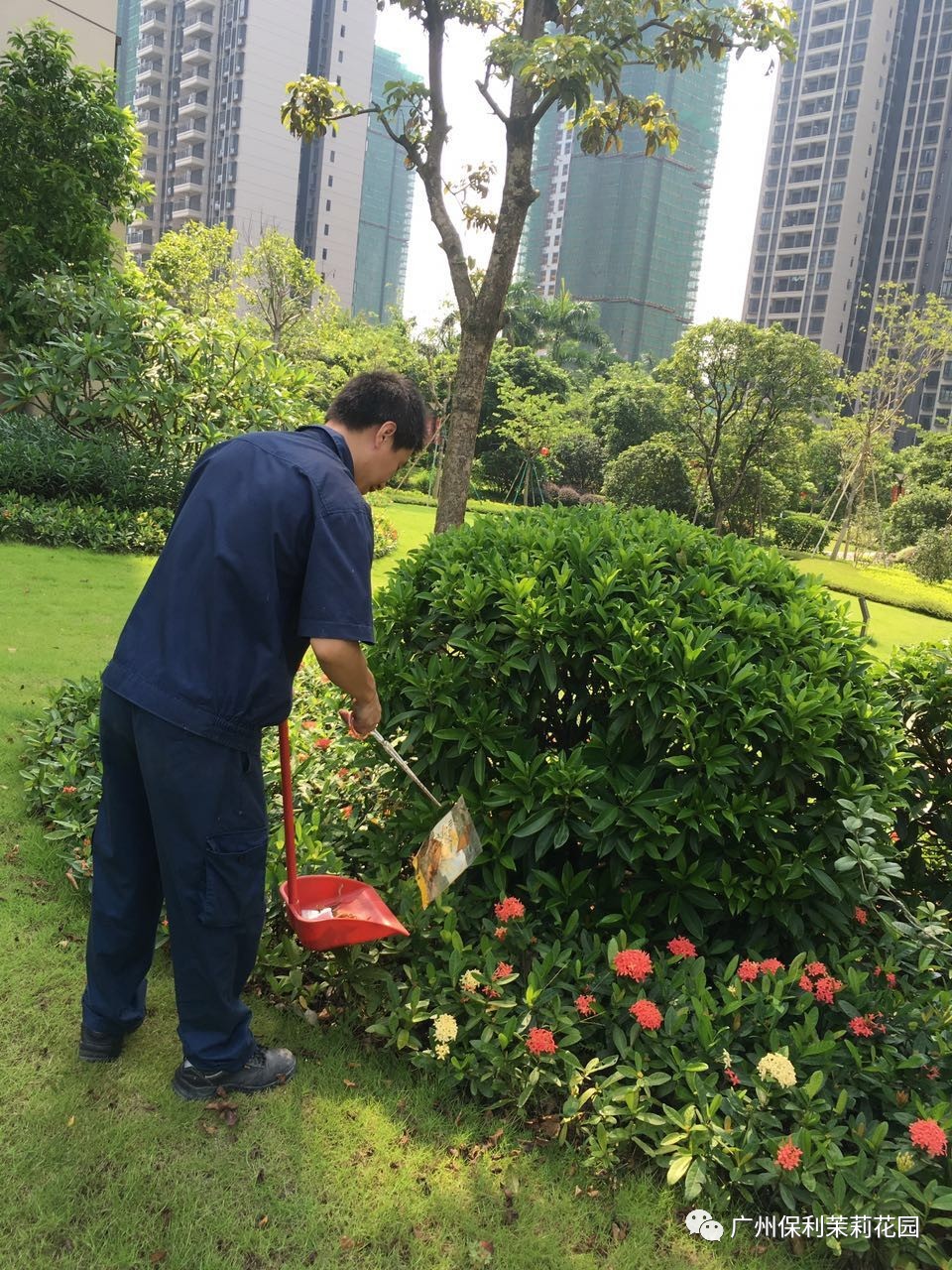 结 语 茉莉花园物业服务中心在此倡导广大业户:保护环境人人有责,请勿