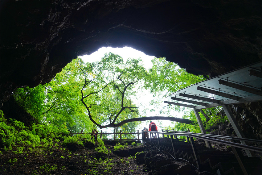 跋涉地下森林深处,寻找火山口的秘密