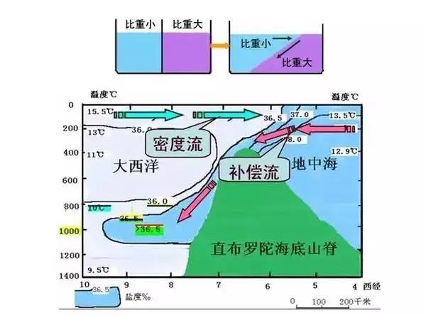 密度流:由密度差异引起,多出现在封闭海域与外洋之间.