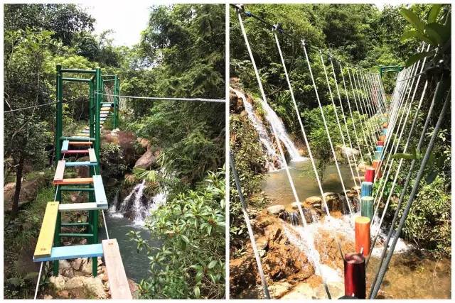 玉湖好去处玉湖山生态茶园旅游区