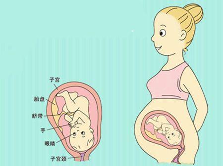 怀孕37周胎儿入盆图片图片