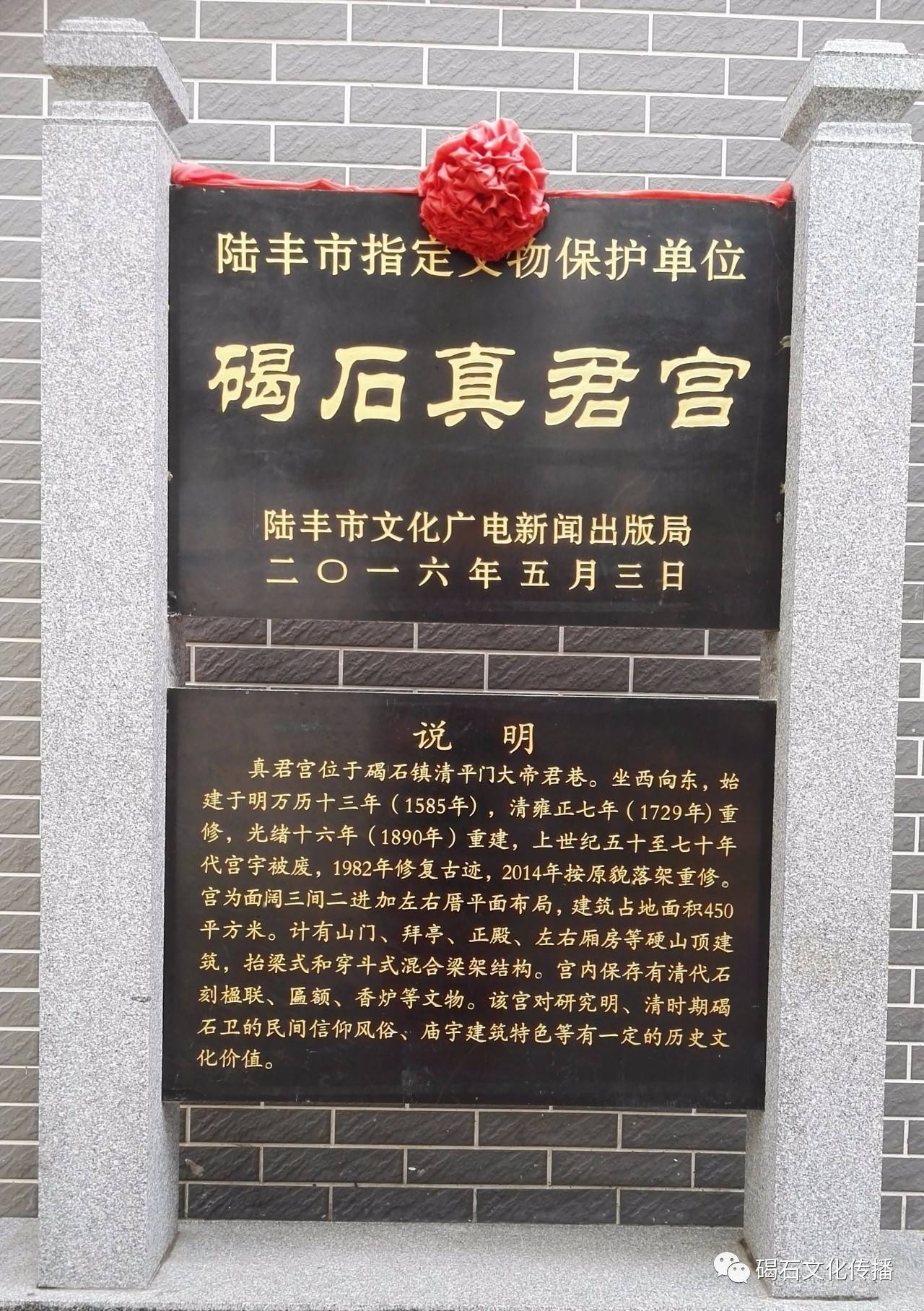 陆丰西公图片