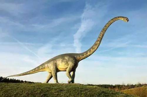 禄丰恐龙谷恐龙种类图片