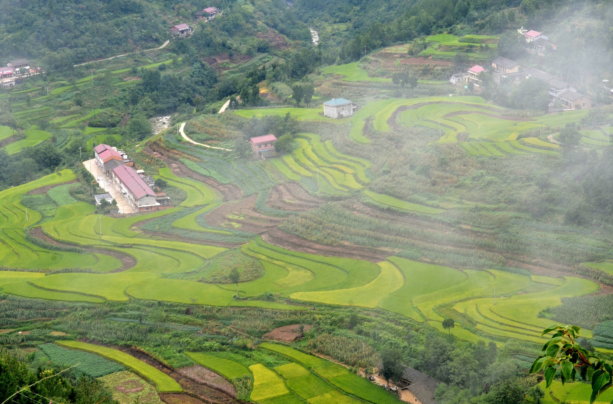 近日,一場大雨過後,地處大巴山深處的寧強縣巴山鎮石羊棧煙霧繚繞