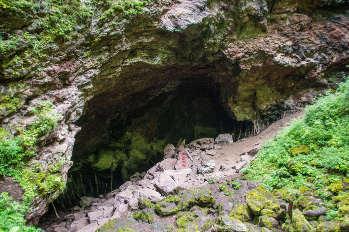 世界地质公园镜泊湖丨火山口地下森林远古洪荒的遗迹