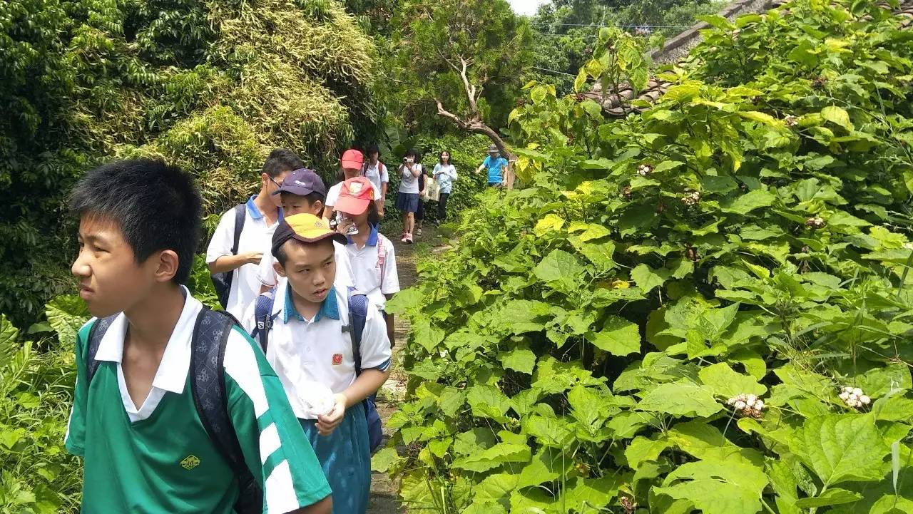 博雅研学博雅青少年流溪河水科学探究一日研学展开