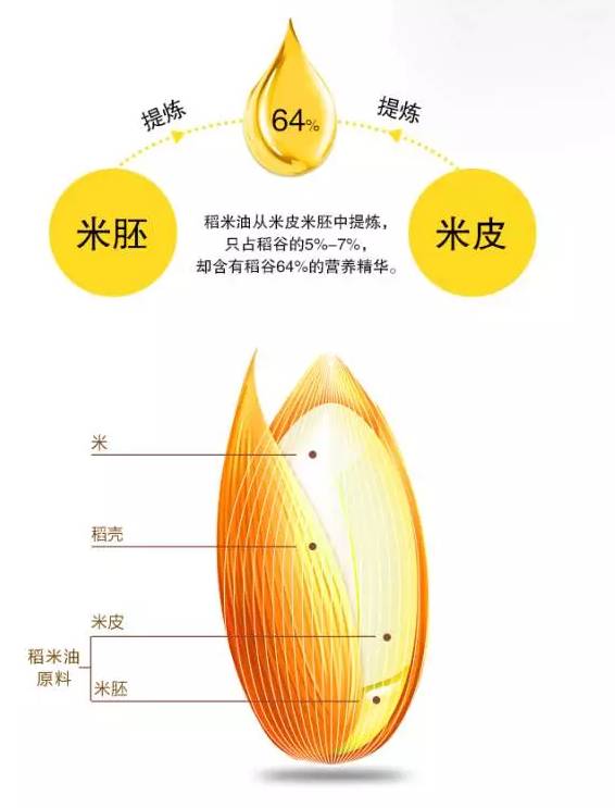 水稻各个部分的分解图图片