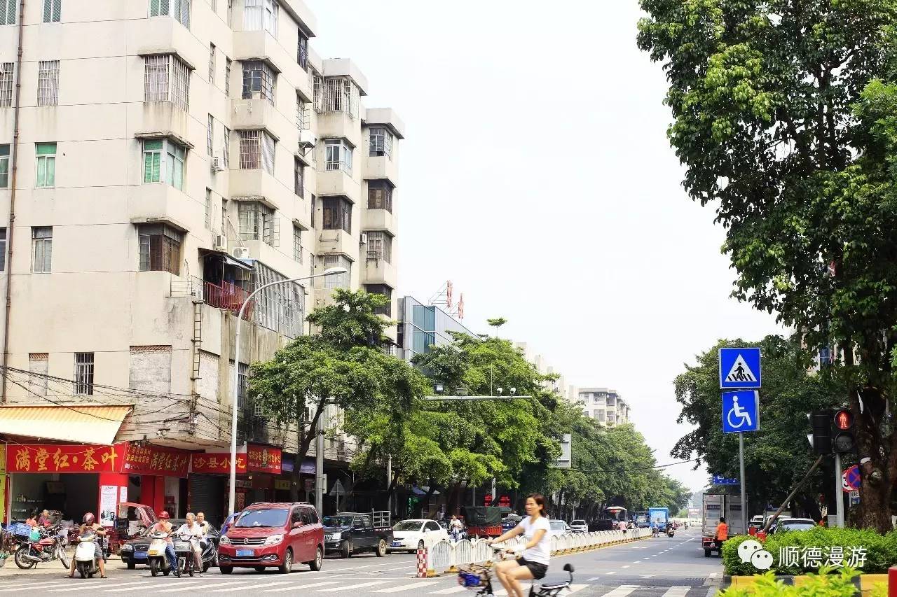 容桂新馬路舊馬路工業路