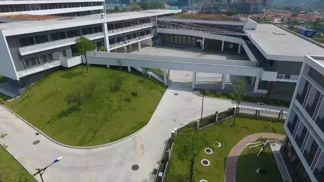 教育凤凰湖小学开学全景视角带您认识这座知识城花园式湖景学校