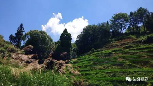 春美鄉雙翰村 潯中鎮祖厝村 楊梅鄉云溪村 國寶鄉格頭村 蓋德鎮三福村