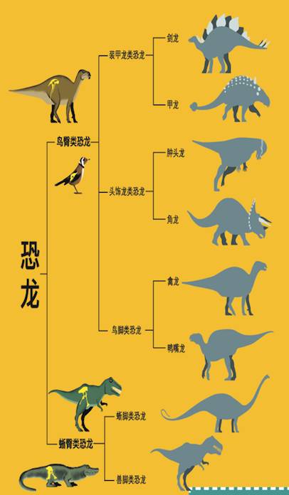 恐龙知识百科秒懂图片
