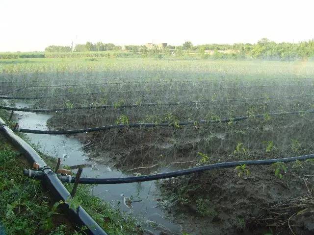 科普關於農業節水灌溉技術遠不止你知道的滴灌