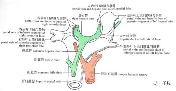 田鏵教授