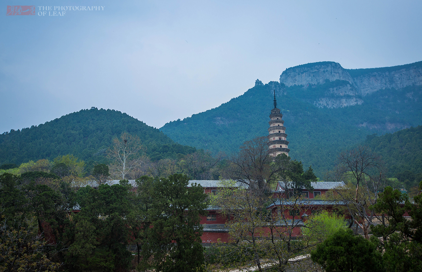 济南灵岩寺，有座国内最大也是唯一的石砌塔林，规模比少林寺更大