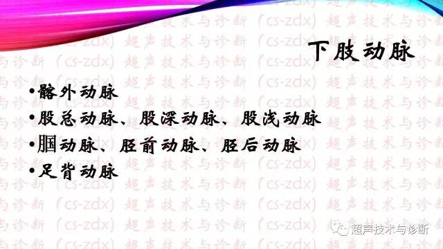 下肢靜脈血管主要包括:髂外靜脈,股總靜脈,大隱靜脈,股深靜脈,股淺