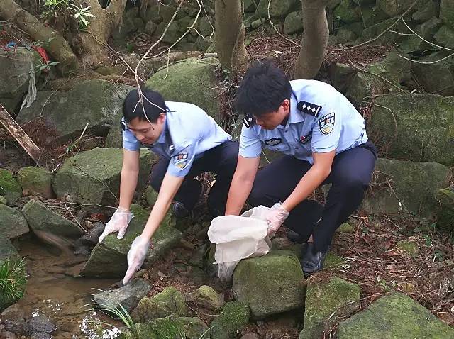 温州一男子山里抓"青蛙,居然要被判刑!