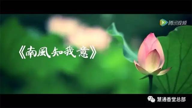 每日音樂:南風知我意