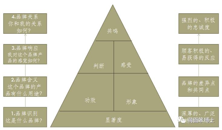 品牌资产金字塔图片