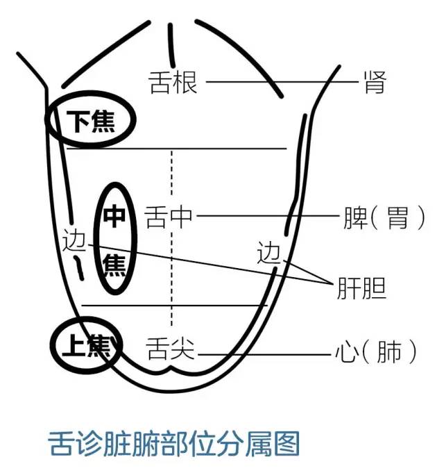 观舌知五脏兴衰,舌头出现这4种征象,您需要注意了!